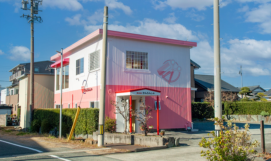 ウィッグ・ショート