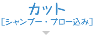 カット［シャンプー・ブロー込み］